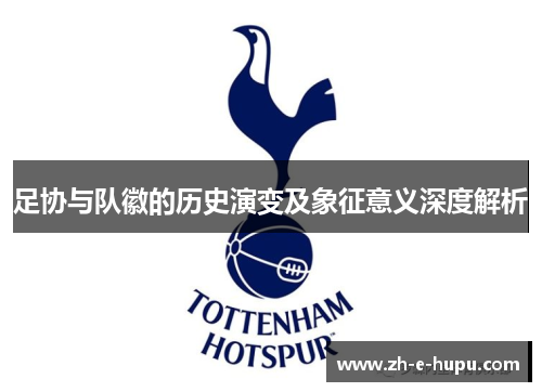 足协与队徽的历史演变及象征意义深度解析