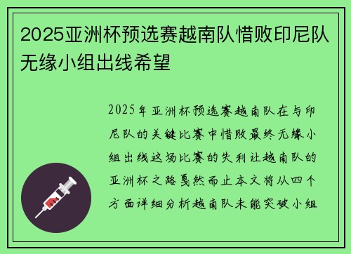 2025亚洲杯预选赛越南队惜败印尼队无缘小组出线希望